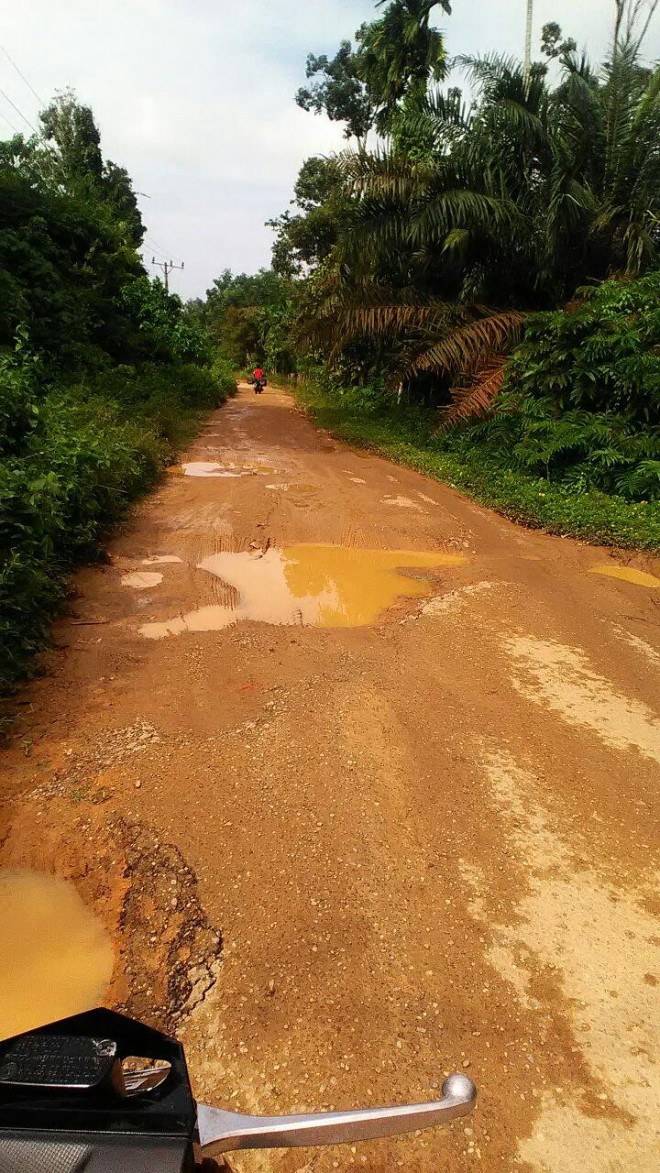 Kondisi jalan penghubung antar Desa di Kecamatan Pemayung, tepatnya di Desa Senaning mengalami rusak parah